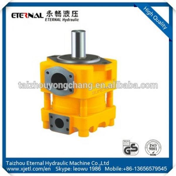 QT52-63 plastic gear pump sumitomo internal gear pump #1 image