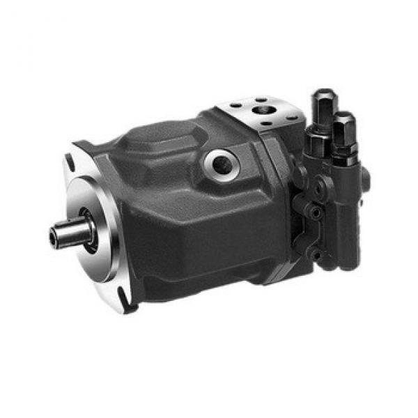 hydraulic pump for pulp and paper manufacturer #1 image