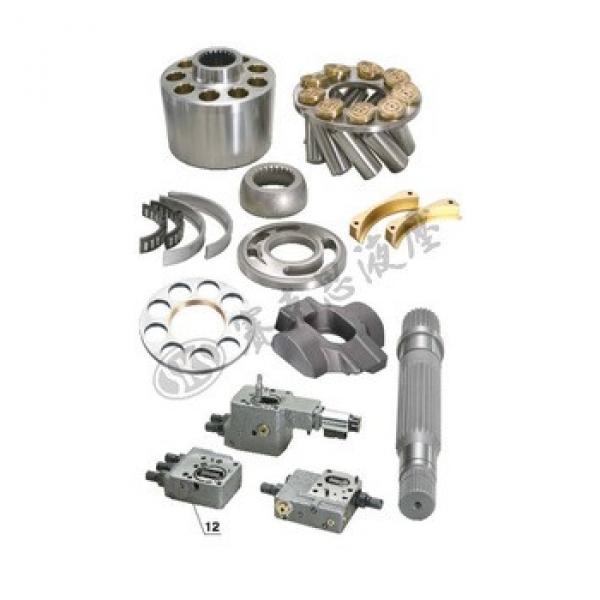Rexroth A11V145 Hydraulic Pump Spare Parts ningbo factory #1 image