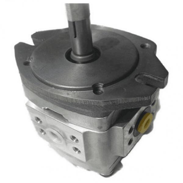 NACHI Gear pump IPH-2A-3.5-11 #1 image