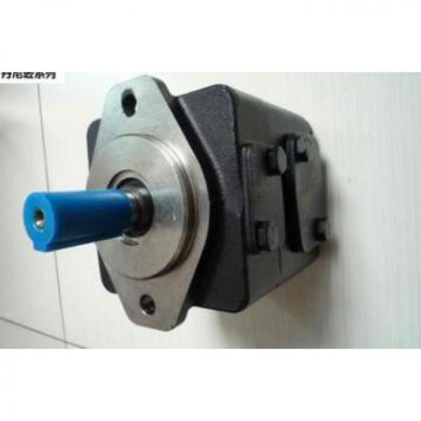 Dansion vane pump T6DP-B45-3R01 #1 image