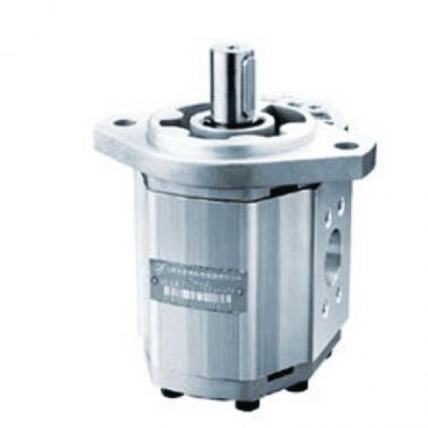 CBW-F310-CFP Gear Pump #1 image