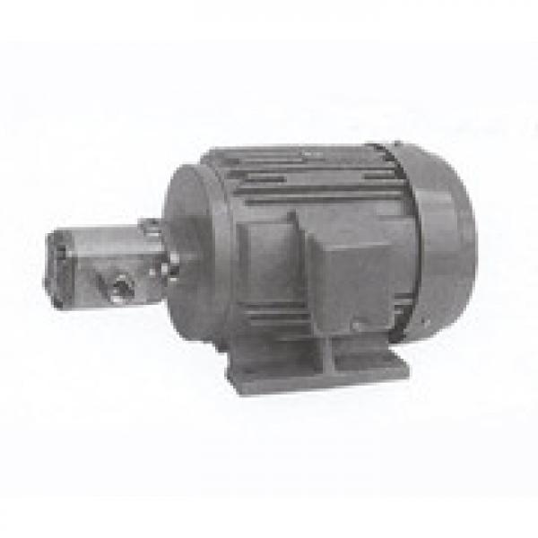 Italy CASAPPA Gear Pump PLM10.5R0-86S0-LGD/GD-N-EL #1 image